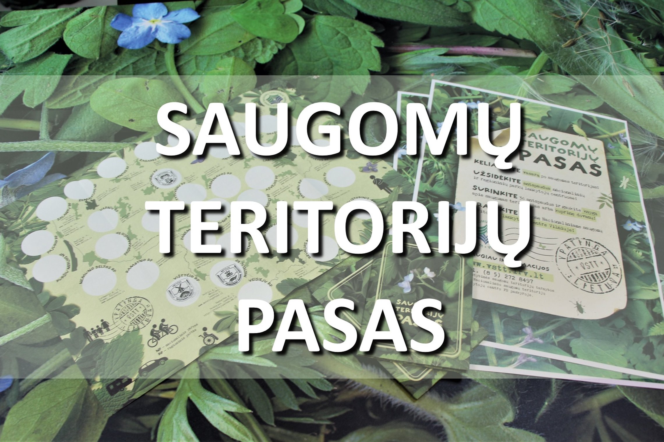 Iliustracija
