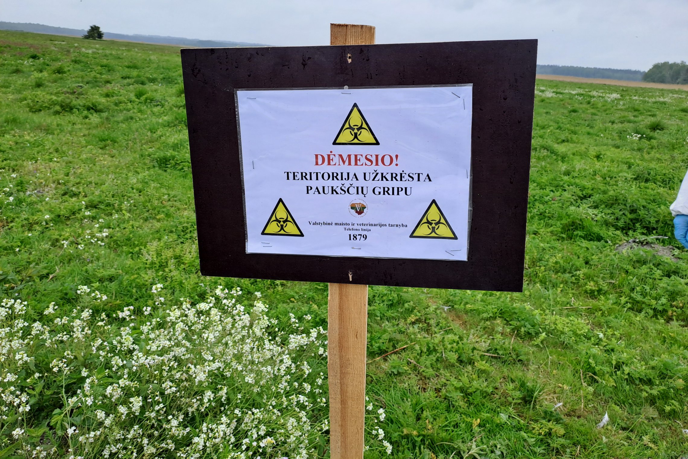 Iliustracija