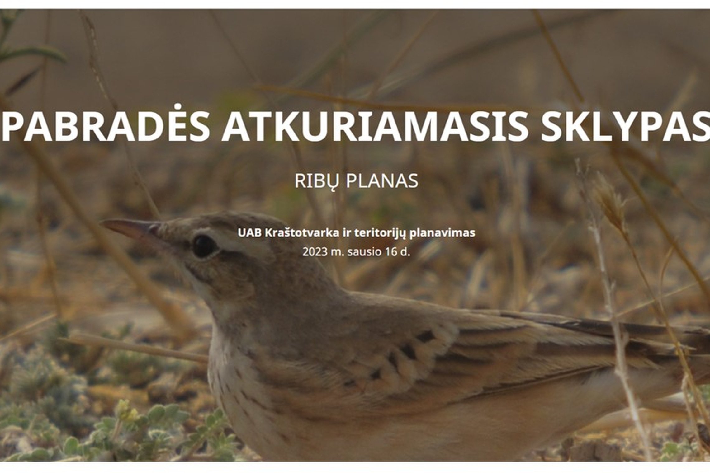 Iliustracija