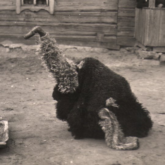 Iliustracija