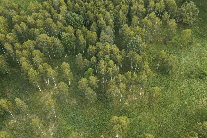 Luko Kačerausko videomedžiagos kadras