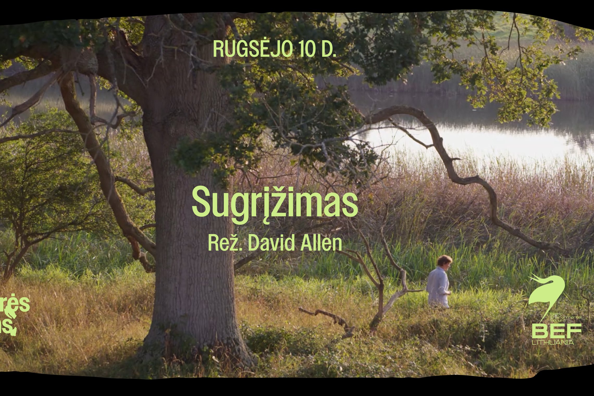 Iliustracija