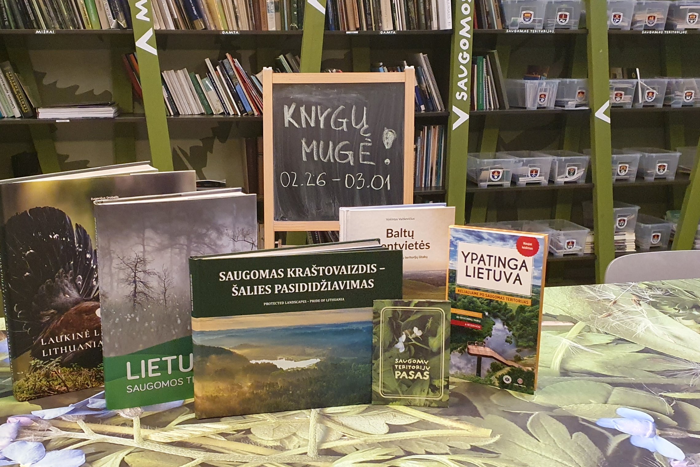 Iliustracija
