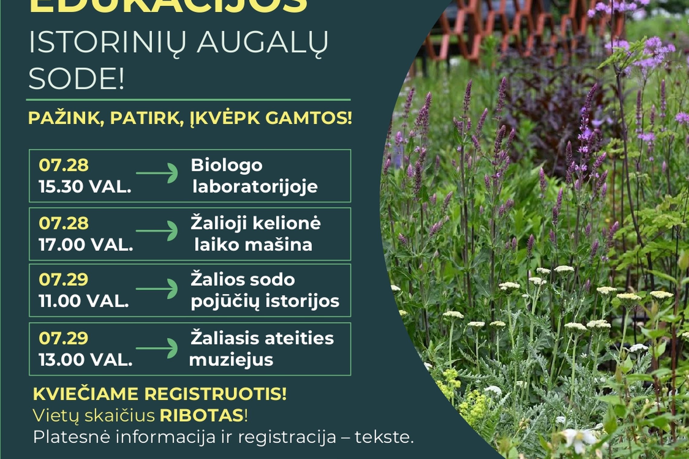 Iliustracija