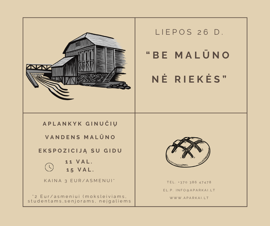Copy of Darbo laikas (4).png